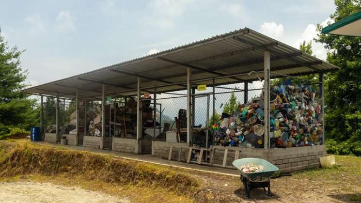 Impulsa SMA prácticas sostenibles en Sierra Mixe 