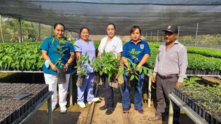 Dona Coesfo más de 7 mil árboles a escuelas de Jalapa de Díaz 