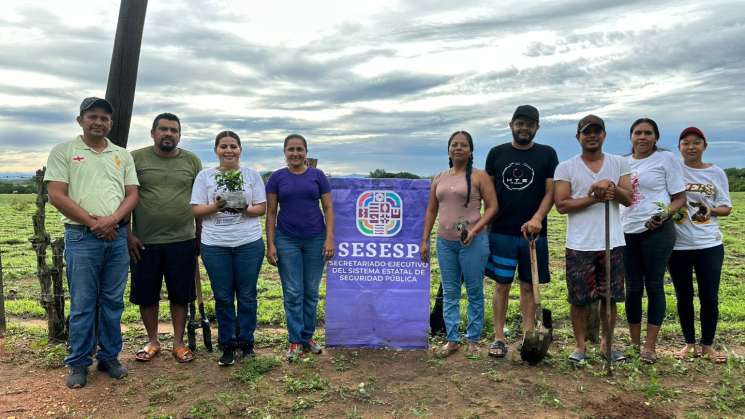 Reforestación en la Costa con Red de Mujeres Constructoras de Paz