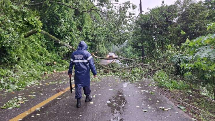 Informa Salomón Jara que estará en zona de impacto del huracán