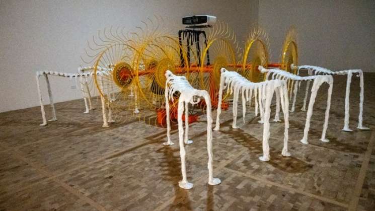 Raphaela Vogel presenta exposición en el Museo Tamayo