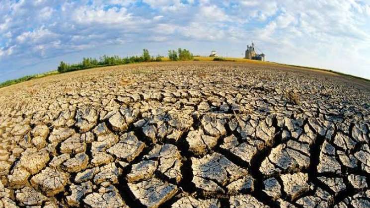 México impulsa salud del suelo contra sequía y desertificación