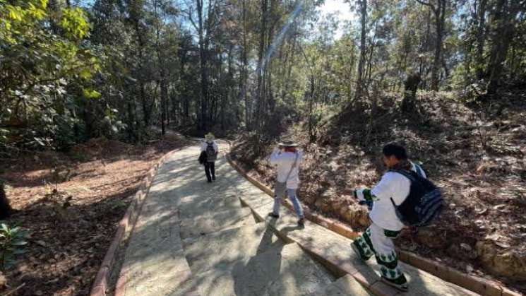 En Oaxaca es ilegal cobro en rutas y sitios históricos 