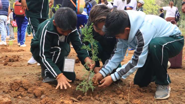 Inicia el programa IEEPO “Reforesta Oaxaca” en escuelas primarias