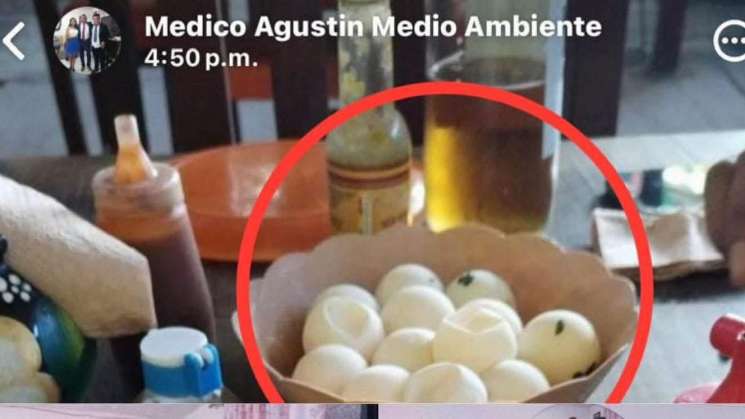 Funcionario de SEMAEDESO separado tras consumir huevos de tortuga