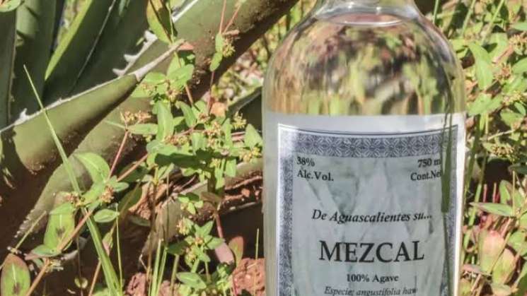 Oaxaca frena con demanda DOM del Mezcal en Aguascalientes