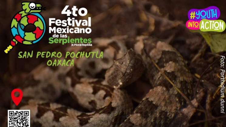 Anuncian nueva edición del Festival Mexicano de las Serpientes