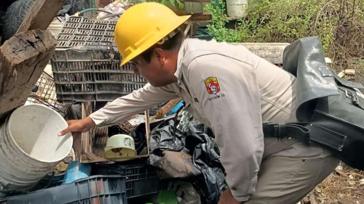 Oaxaca suma 38 casos acumulados de dengue; 3 en última semana 