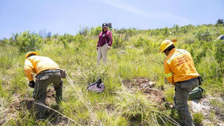 21 brigadas en Mega Reforestación en Santa María Atzompa