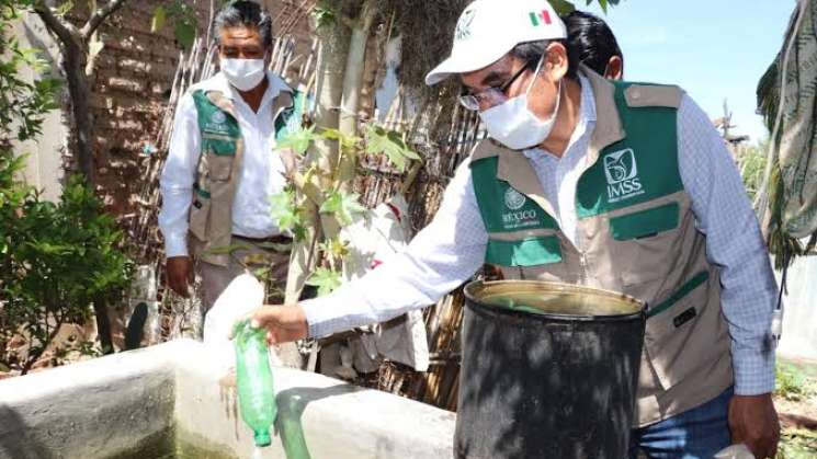 Recomienda IMSS Oaxaca a acudir a revisión médica ante dengue