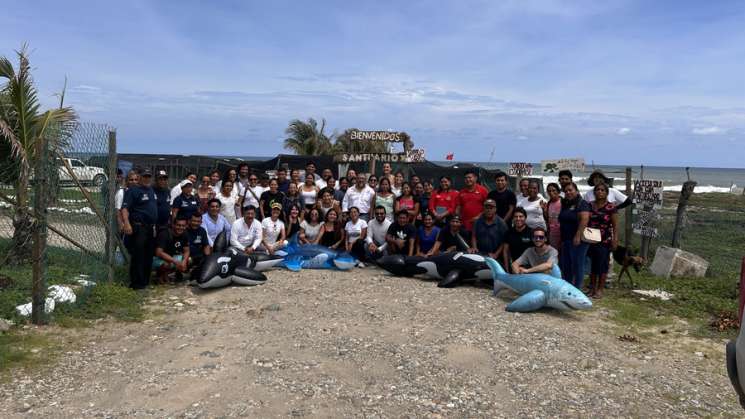 Realizan taller de atención de mamíferos y tortugas varadas