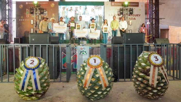 Celebran Día de la y el Magueyero Oaxaqueño con piña de 319.2 Kg.