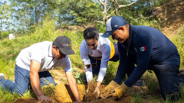 Reforestan 1.5 hectáreas del Área Natural en Cerro del Fortín  