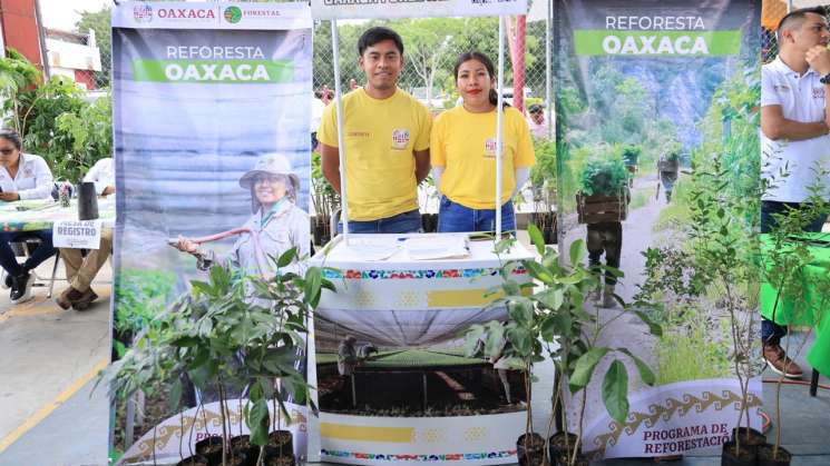 Lanzan Caravanas Layú Stidu para proteger recursos naturales