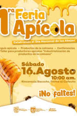 Invitan a la 1° Feria Apícola en Puerto Escondido 