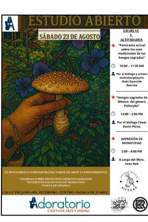Estudio Abierto Invita:Una Tarde de Arte y Conocimiento en Oaxaca