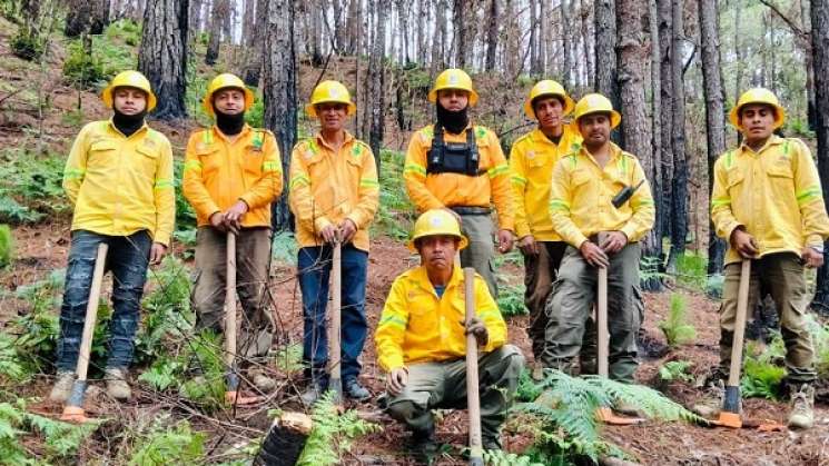 Impulsa Coesfo reforestación en Santa Catarina Juquila 