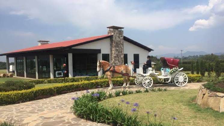 Invasores de rancho San José, en Cuilapam a prisión 