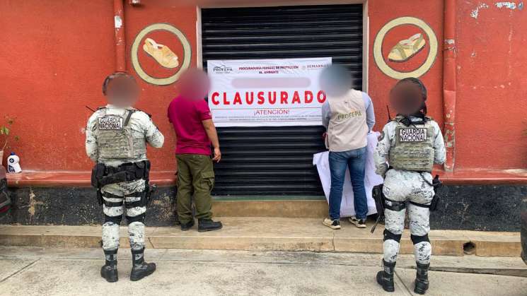 Clausuran negocio en Yalalag por usar pieles de fauna silvestre