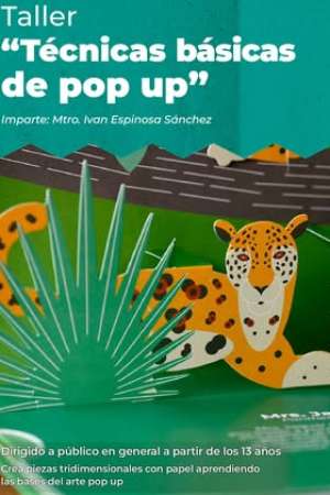 Invitan al taller de Técnicas Básicas del POP UP