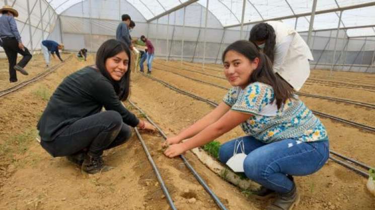 Propone Benjamín Viveros ley de protección a juventudes