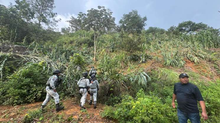FGEO realiza búsqueda de una persona  de Amoltepec