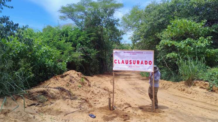 PROFEPA clausura obras en Punta Colorada, se construiría cuartel