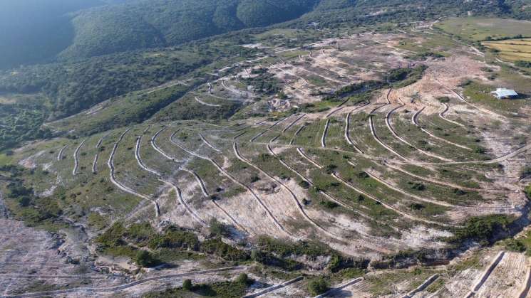 Realizan Mega Tequio de Reforestación en Coixtlahuaca