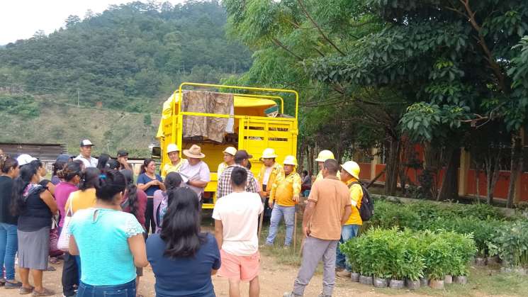 Realiza Coesfo jornada de reforestación en San Isidro Huayápam   