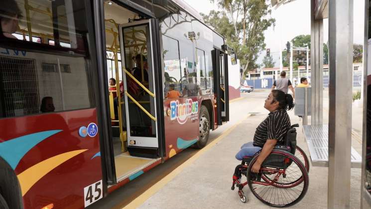 Los datos duros detrás del BinniBus como transporte de calidad