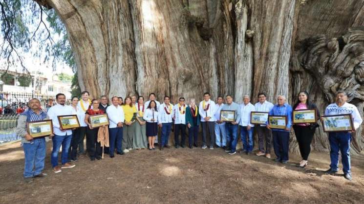 Certifican  a 30 Árboles Nobles e Históricos de Oaxaca 