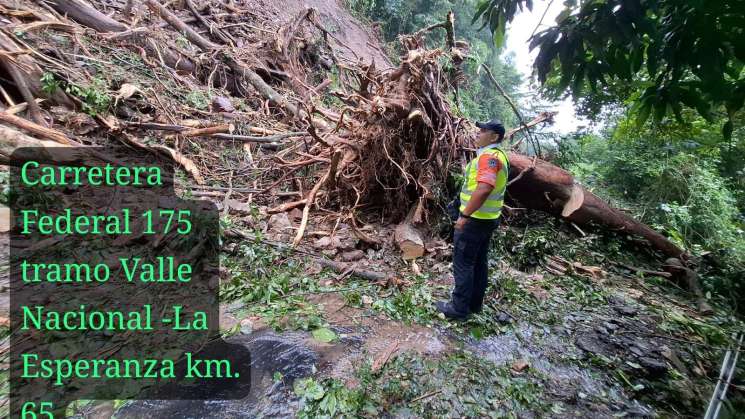 Protección Civil informa afectaciones en regiones por lluvías