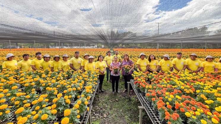 Oaxaca vestirá de flor de cempasúchil sus espacios públicos