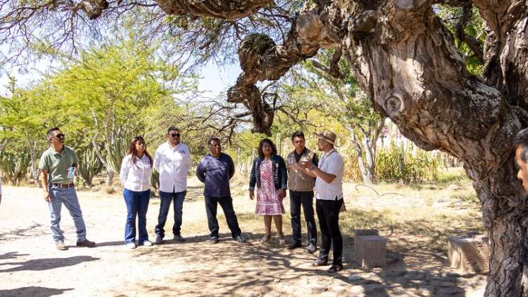 Municipios reciben asesoría con Caravanas del Medio Ambiente