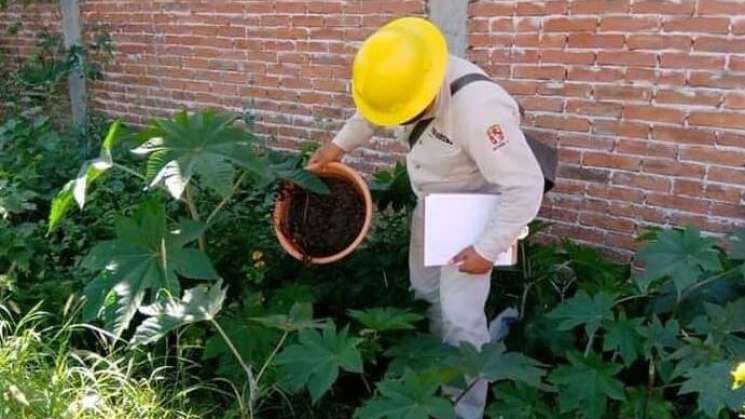 Asegura SSO  94% de reducción del dengue en Oaxaca