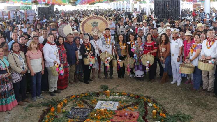 Honran a guardianes de semillas nativas de maíz de Oaxaca