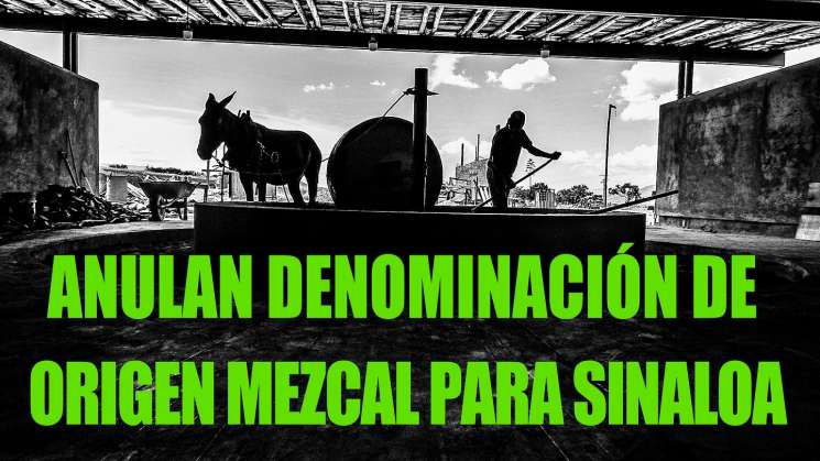 Anulan denominación de origen de mezcal a Sinaloa