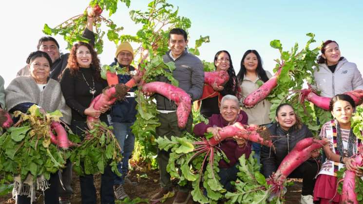 Salomón Jara acompaña la tradicional cosecha de Rábanos