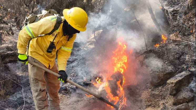 COESFO controla incendios en Texmelucan y Astata