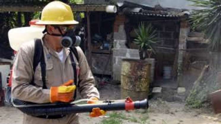 Oaxaca acumula 274 casos de dengue en 2025