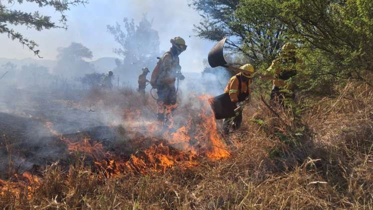Atiende COESFO incendio en el Valle de Etla