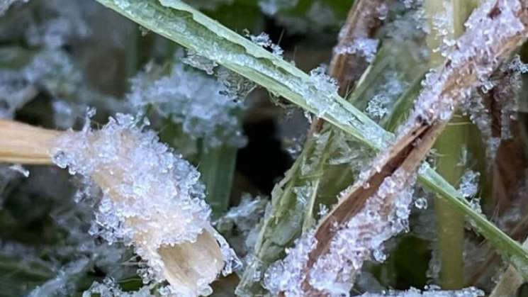 Condiciones estables, provocarán heladas en zonas montañosas