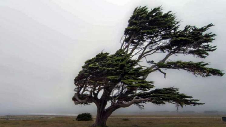 Bajas tempraturas, vientos gélidos y lluvias en Oaxaca