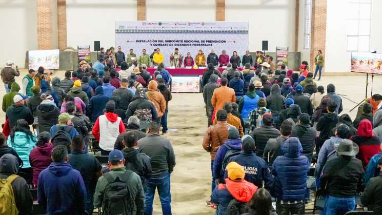 SJC llama a proteger bosques del estiaje en la Sierra Juárez