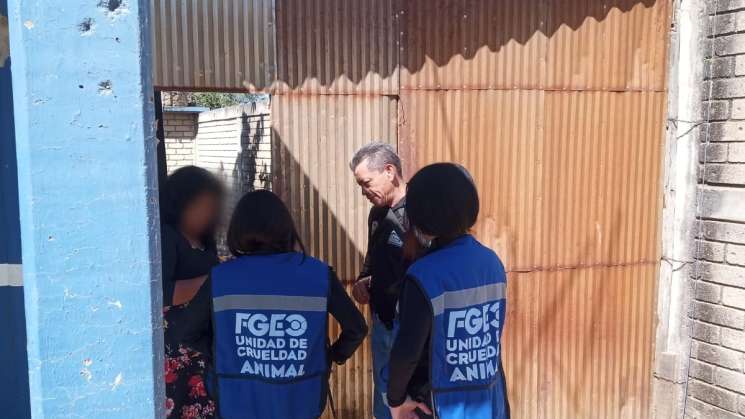 Otro  delito de maltrato animal ahora en Pueblo Nuevo
