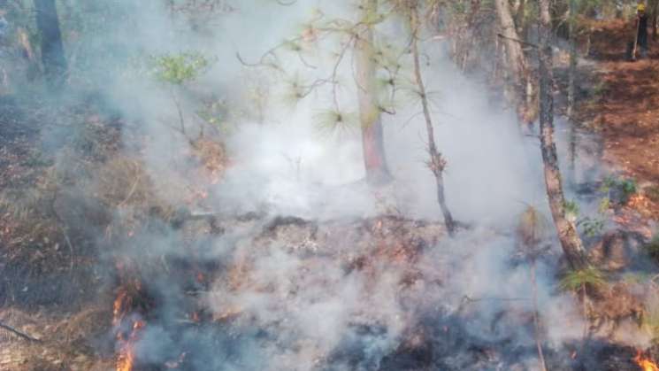 Dos fallecidos por incendio en San Miguel del Puerto