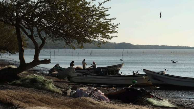 CH presenta riesgos bioculturales en sistema lagunar Ikojts