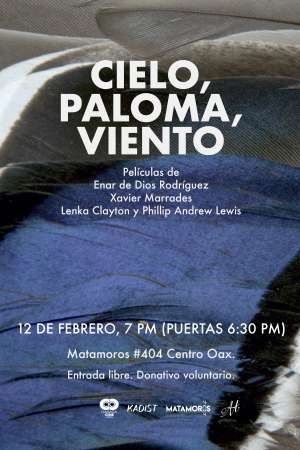 OaxacaCine presenta el ciclo Cielo, Paloma, Viento