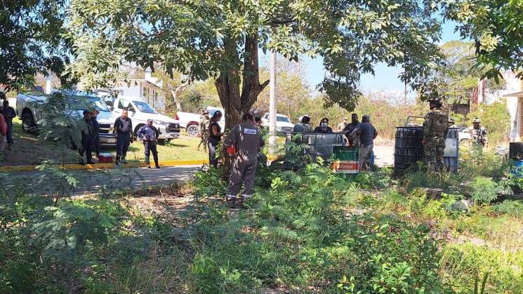 Tres empleados de PEMEX mueren por explosión de ducto en el Istmo