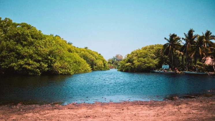 Oaxaca cuenta con 87 nuevos vigilantes ambientales: PROFEPA